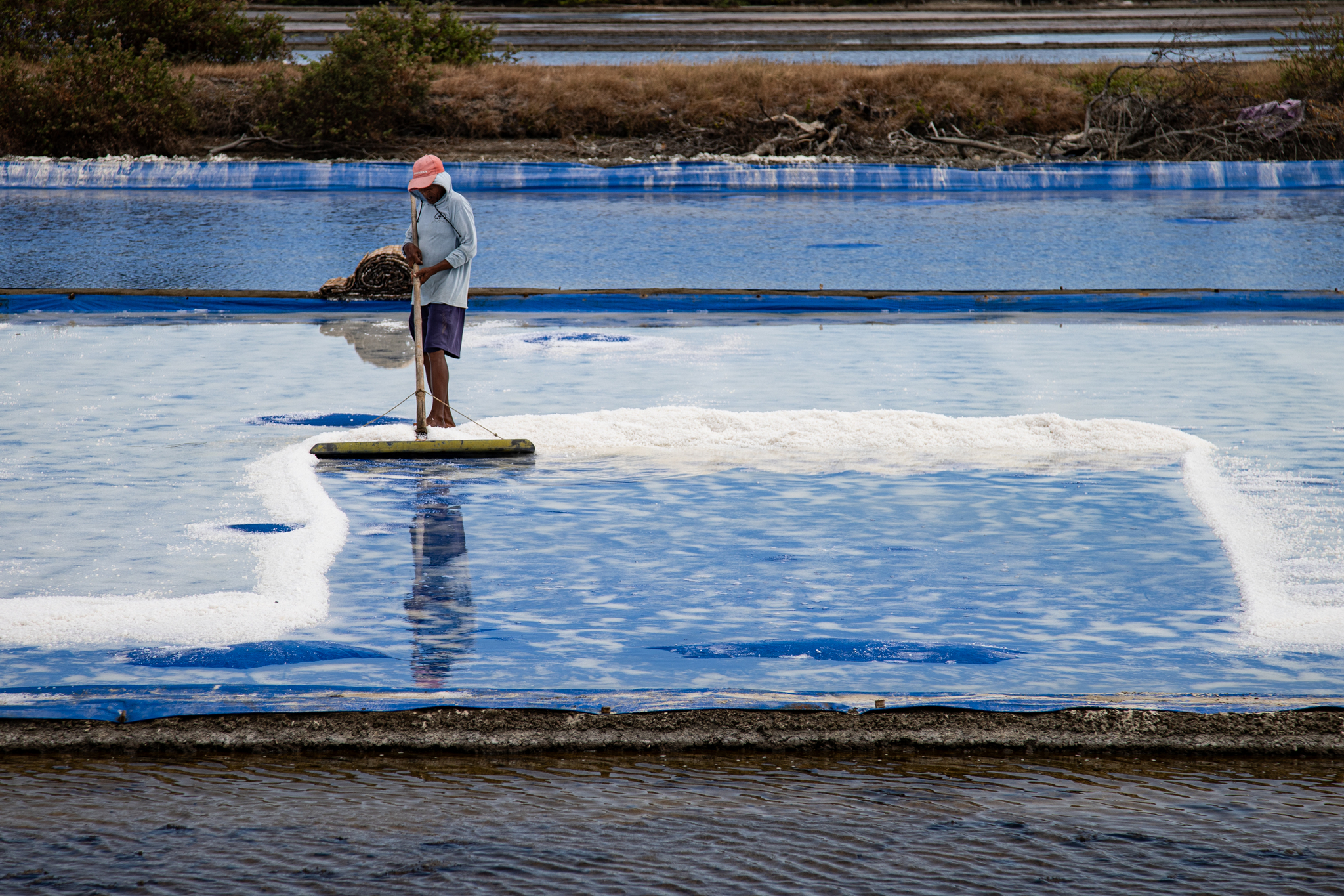 From Sea to Field: Indonesia’s Shining Symbol in Global Trade_fororder_VCG31N2236680848.JPG