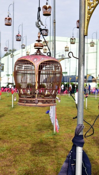 Singing Showdown: Thailand Hosts Annual Bird Singing Contest