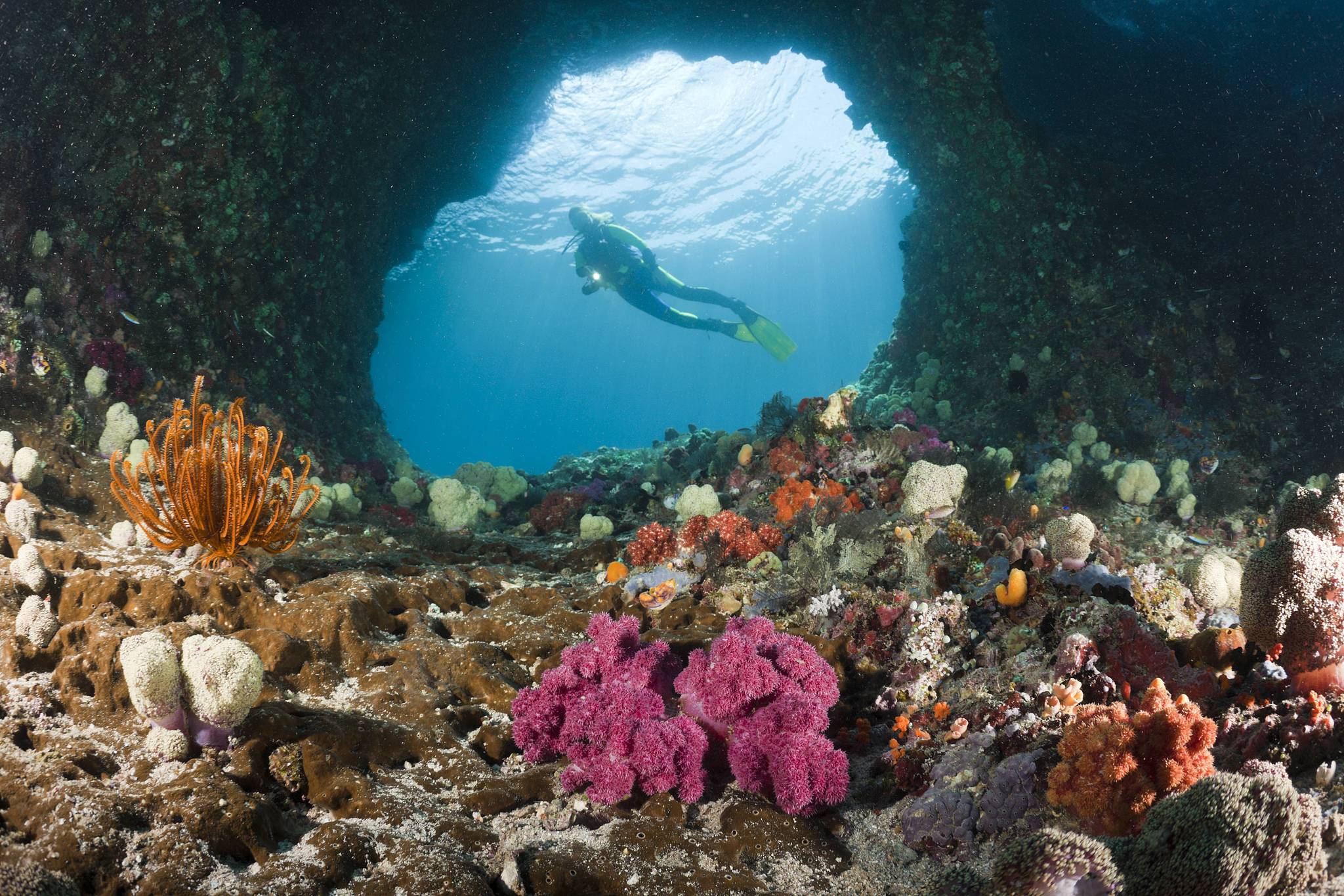 Swimming Among Tens of Thousands of Jellyfish in Indonesia_fororder_VCG11456288186