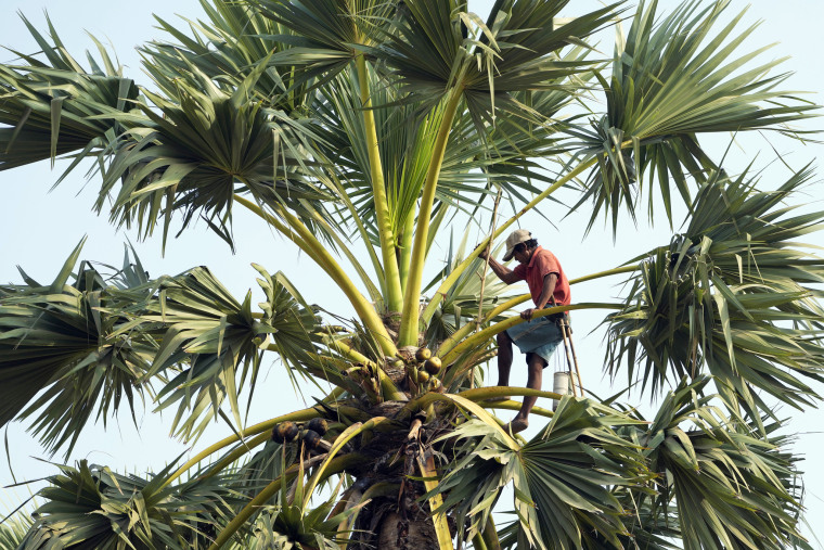 Cambodia: Brewing Palm Sugar, Brewing Life_fororder_VCG111485890094