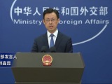 外交部：菲律宾公布的所谓“新版海图”非法、无效