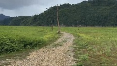 二战日军修建泰缅“死亡铁路”遗迹浮出水面_fororder_IMG_5039