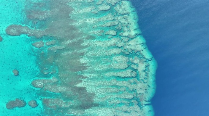 China’s Huangyan Dao Reserve：A Push for Deeper Environmental Governance in South China Sea