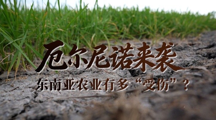 厄尔尼诺来袭，东南亚农业有多“受伤”？_fororder_图0
