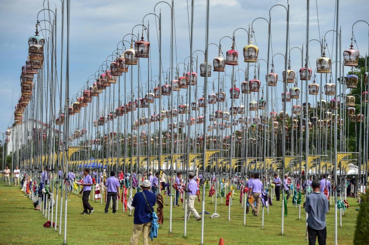 Singing Showdown: Thailand Hosts Annual Bird Singing Contest_fororder_VCG111591003344