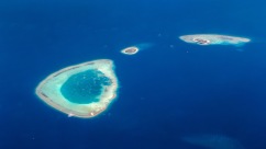 Green sea turtle nesting site found at South China Sea reef_fororder_VCG21gic13920577