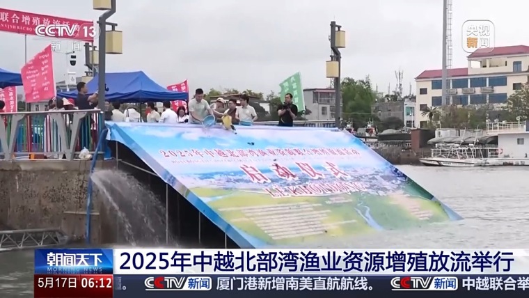2025年中越北部湾渔业资源增殖放流举行_fororder_IMG_1219