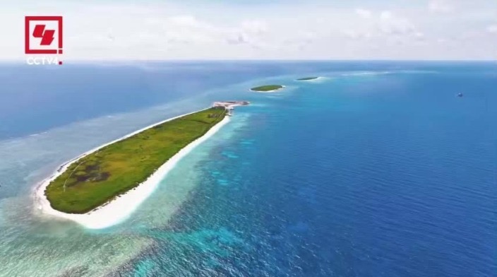 三沙：盛夏的生态保护画卷_fororder_IMG_0118