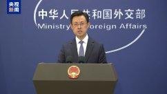 外交部：菲方在海上蓄意侵权挑衅是导致局势紧张的根源