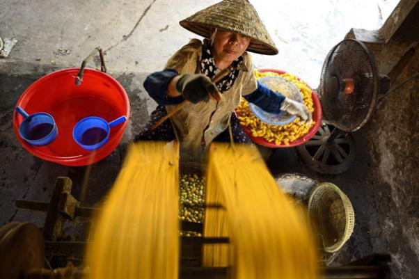 A Century-Old Silk Legacy in a Vietnamese Village_fororder_图片5