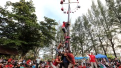 Indonesia’s Independence Day Highlight: Nationwide Pole-Climbing Contest