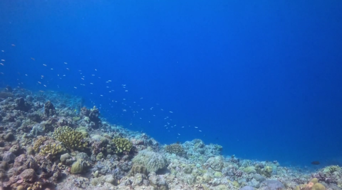 Can the Philippines Stand Its Ground in Accusing China's Huangyan Dao Nature Reserve of Being "Illegal"?