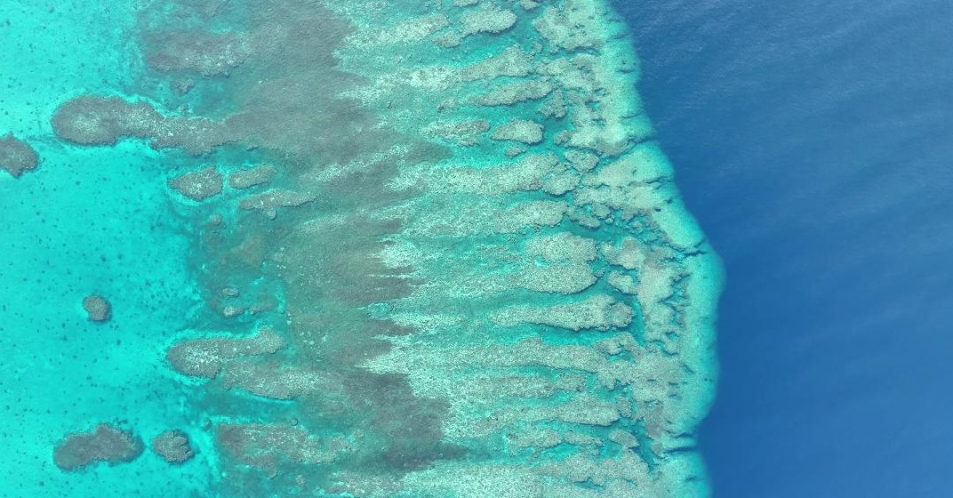 China’s Huangyan Dao Reserve Renews Marine Governance in South China Sea_fororder_47790bbb91914ae4b6a6b1b0f4560a3e~tplv-tt-origin-web_gif