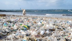 季风将垃圾卷上海滩，印尼巴厘岛环保压力加剧