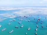 2024年我国渔业生态环境状况总体保持稳定