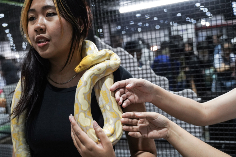A Real-Life Pet Planet: Cuteness Overload at Thailand’s Pet Expo_fororder_VCG31N2227645412
