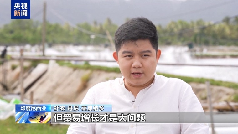 美关税大棒下印尼虾业受重创：出口总量恐暴跌30%