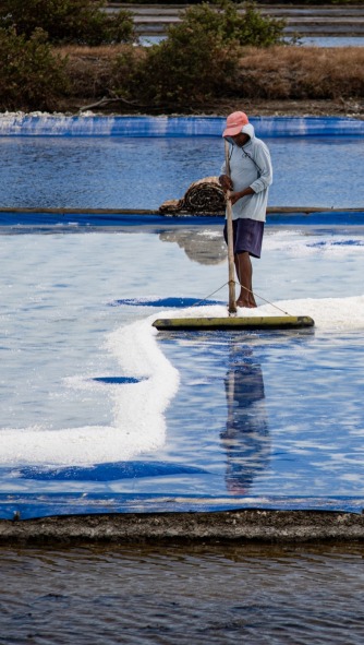 From Sea to Field: Indonesia’s Shining Symbol in Global Trade