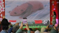 印尼首次迎来大熊猫幼仔诞生