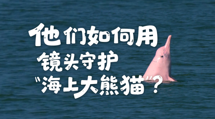 视频默认标题