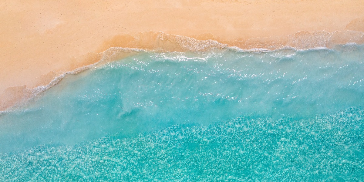 我们来自不同地方，但共享同一片海洋