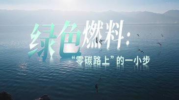 绿色燃料: 中东局势之外，一条正在浮现的“新航道”