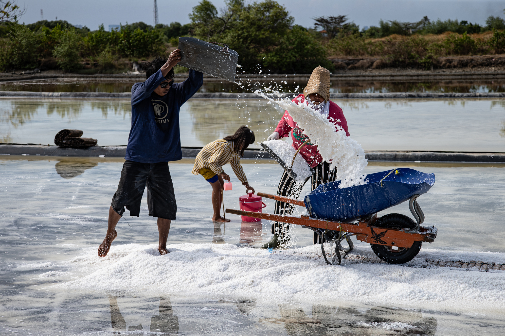 From Sea to Field: Indonesia’s Shining Symbol in Global Trade_fororder_VCG31N2236680817.JPG