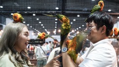 现实版宠物星球！泰国展会萌力炸场