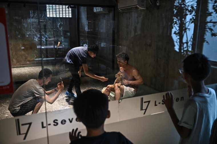 幼狮陪喝咖啡，敢来吗？_fororder_VCG111582184983