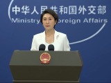 外交部：在印尼中资企业的成功也是印尼的成功