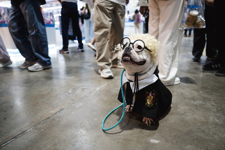 A Real-Life Pet Planet: Cuteness Overload at Thailand’s Pet Expo_fororder_VCG31N2227148868