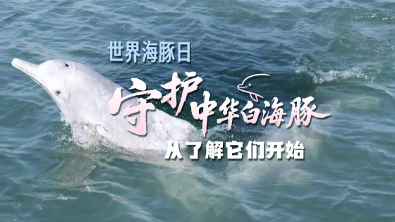 视频默认标题