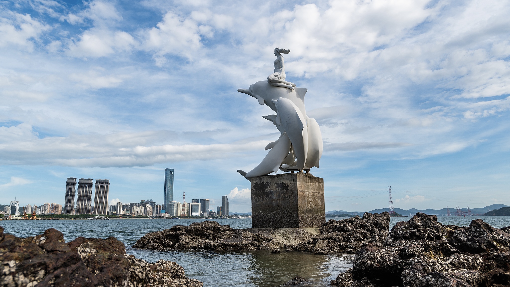 世界海豚日｜守护 “妈祖鱼”，共护蓝色家园_fororder_3