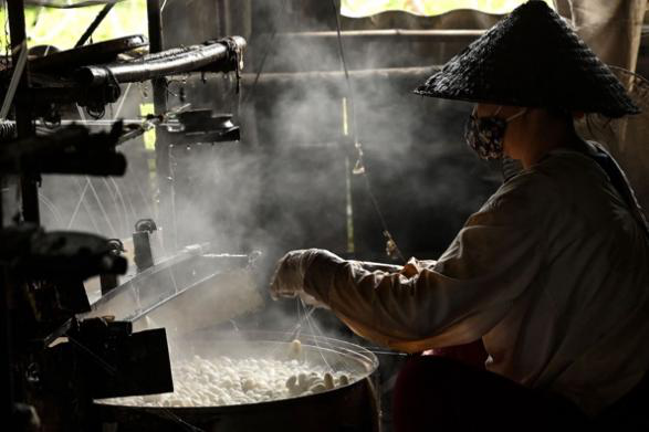A Century-Old Silk Legacy in a Vietnamese Village_fororder_图片9