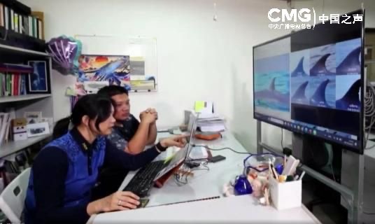 中泰携手保护布氏鲸  探索人与自然和谐共生_fororder_IMG_3065
