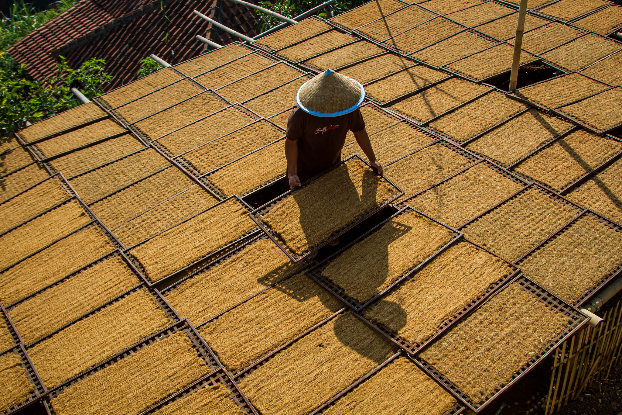 Indonesia’s Tobacco: A Harvest Shadowed by an Unavoidable Future_fororder_VCG31N1862845775