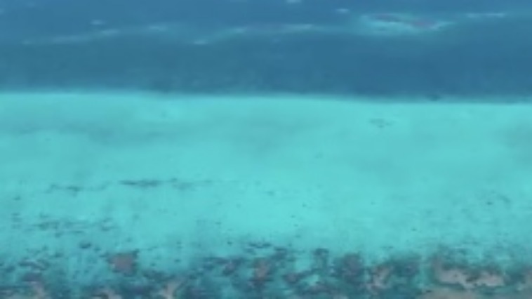 东盟学者如何评价黄岩岛国家级自然保护区？_fororder_7a962960da0f40d382294b3681c5de65.1290x726.242x136