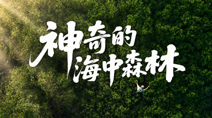 视频默认标题