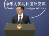 中方面向东盟10国和东盟观察员东帝汶推出“东盟签证”
