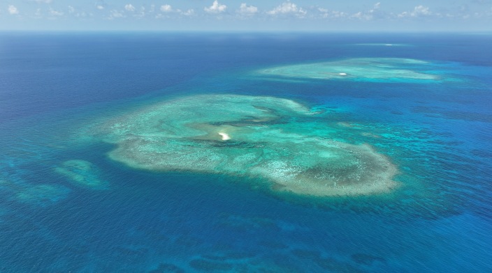 Authoritative Analysis: Who Is Undermining the Marine and Political Environment of the South China Sea?