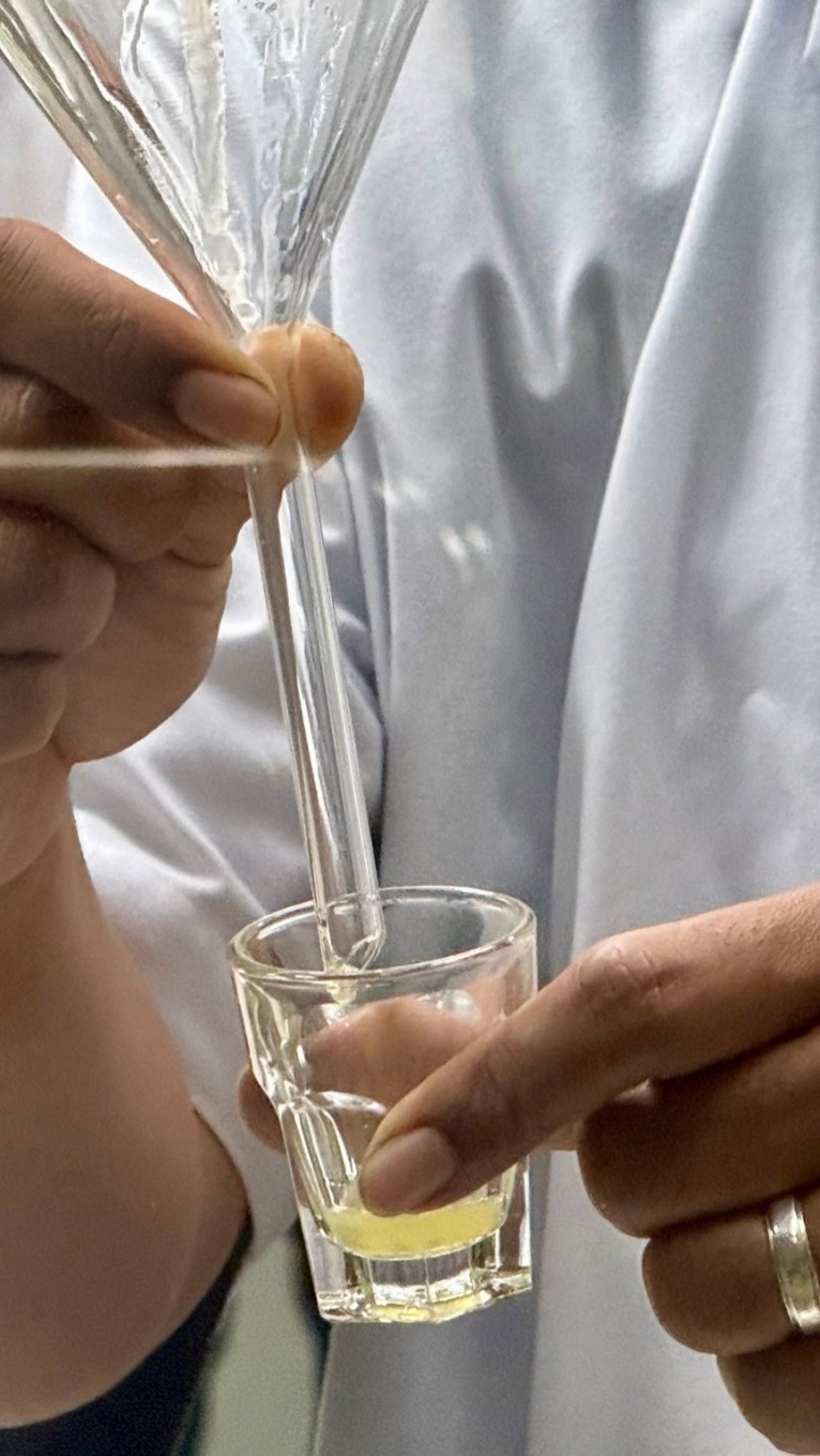 在曼谷蛇园，看蛇毒如何变成救命血清_fororder_VCG111617954435