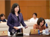 越南国会通过法律修正案 取消生育限制