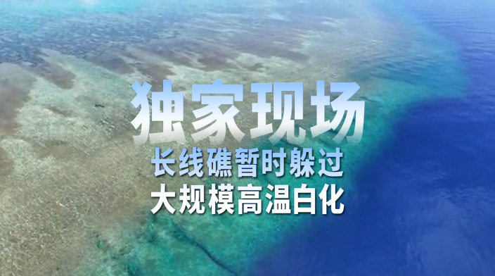 中国科学家证实：南沙群岛长线礁暂时躲过史上最严重珊瑚白化危机