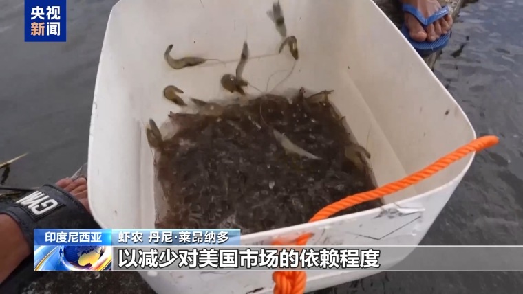 美关税大棒下印尼虾业受重创：出口总量恐暴跌30%_fororder_IMG_4807