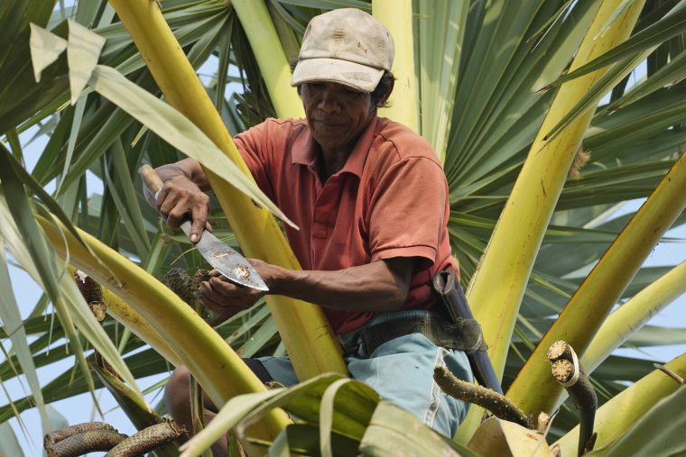 Cambodia: Brewing Palm Sugar, Brewing Life_fororder_VCG111485890212