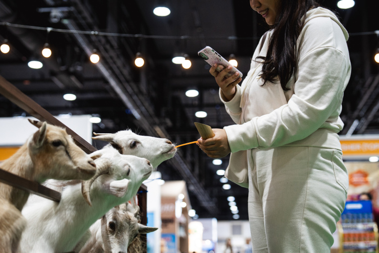 A Real-Life Pet Planet: Cuteness Overload at Thailand’s Pet Expo_fororder_VCG31N2227149129