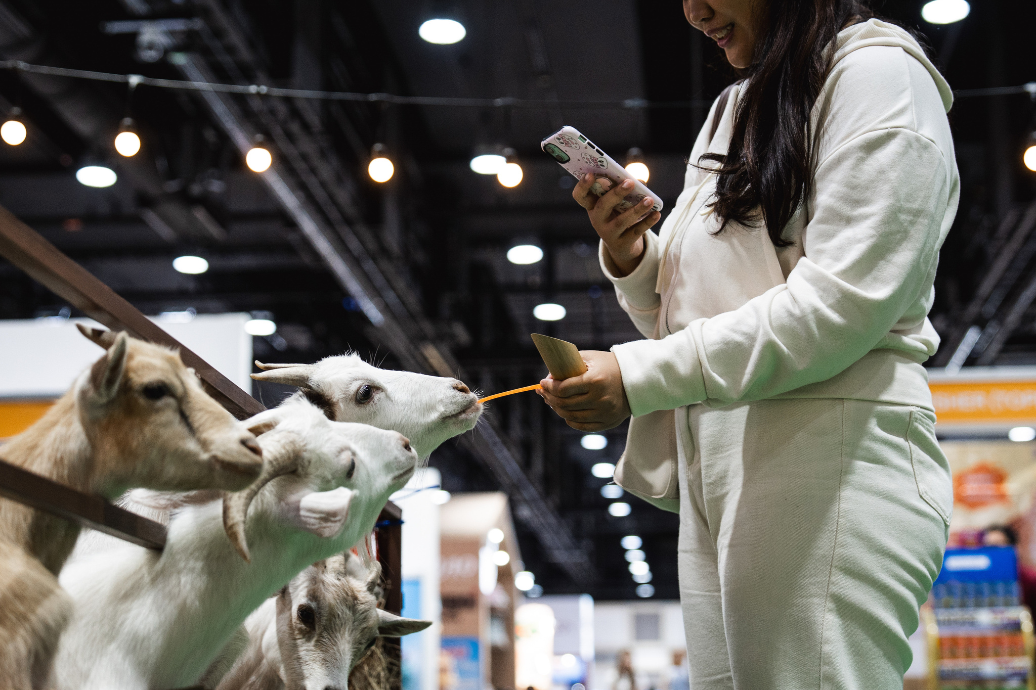 A Real-Life Pet Planet: Cuteness Overload at Thailand’s Pet Expo_fororder_VCG31N2227149129