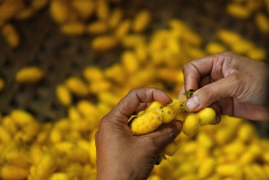 A Century-Old Silk Legacy in a Vietnamese Village_fororder_图片8