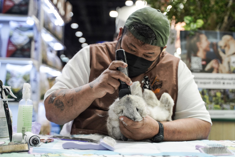 A Real-Life Pet Planet: Cuteness Overload at Thailand’s Pet Expo_fororder_VCG31N2227645286