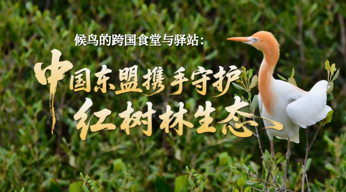 候鸟的跨国驿站 中国与东盟携手守护_fororder_c7265697426b3da01683265c52c12b5d